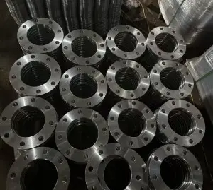 Customized Japanese standard flange